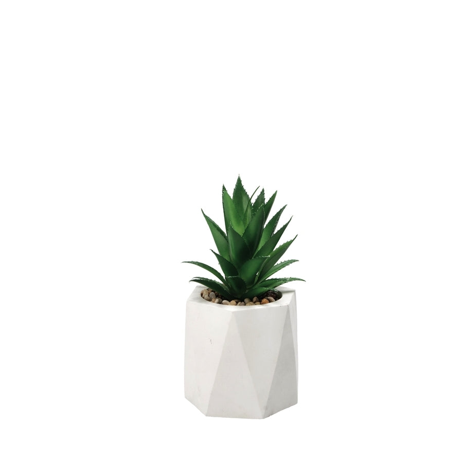 Ad - Succulent Plant Pot For Decoration 2 Colors D9Xh19