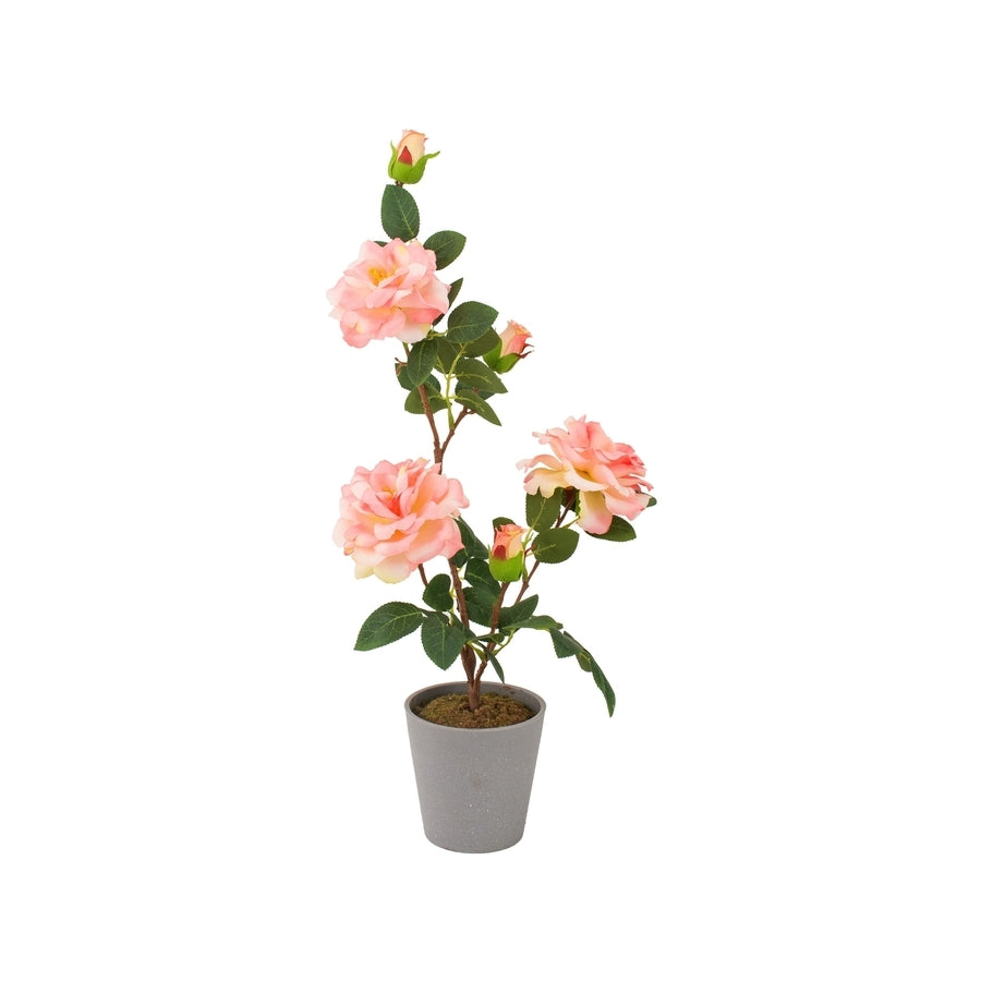 Ad - Vaso Con Rosa 3 fiori 4 colori D11Xh55