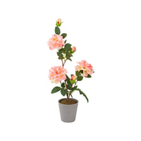 Ad - Vaso Con Rosa 3 fiori 4 colori D11Xh55