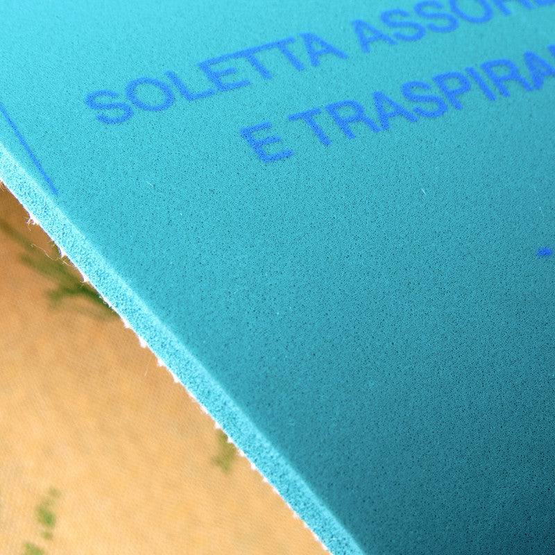 Aloe Vera Shoe Insoles