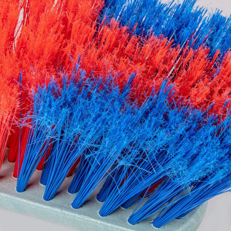 Brillà - French Broom