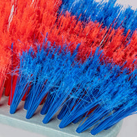 Brillà - French Broom