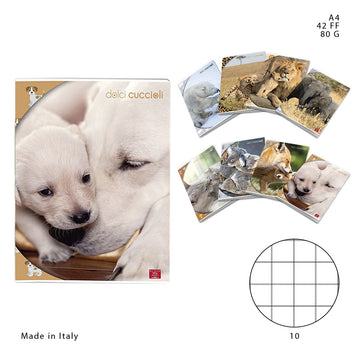 Pigna - Quaderno Maxi A4 42FF 80g 10 Dolci Cuccioli