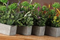Ad - Vaso Con Lavanda Assortito 4 Colori 17X65Xh23,5