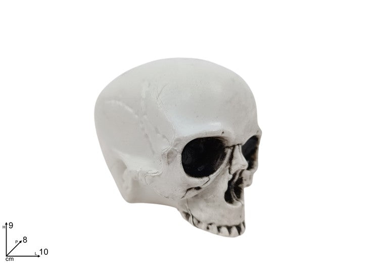 SS HW TESCHIO IN PLASTICA 10CM