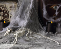 Atosa Skeleton 34X10 Cm