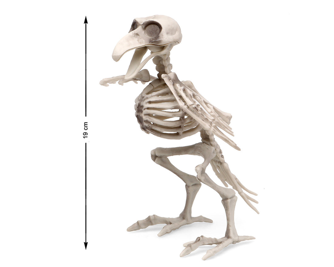Atosa Gadget Scheletro 19X12 Cm